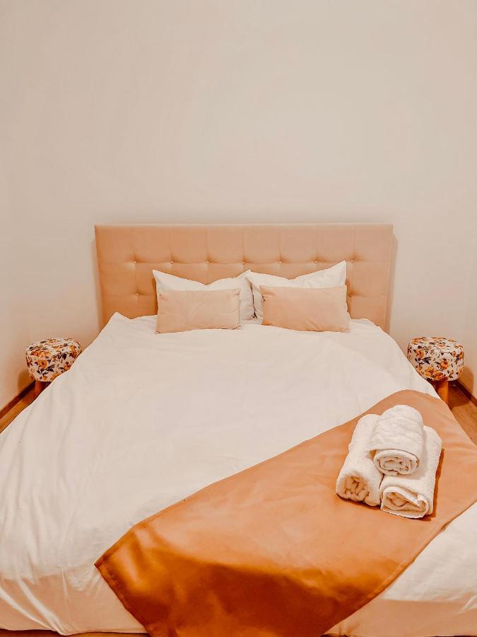 Lovely Apartment In A Quiet Area - Spitalul Judetean L5 Timişoara Buitenkant foto